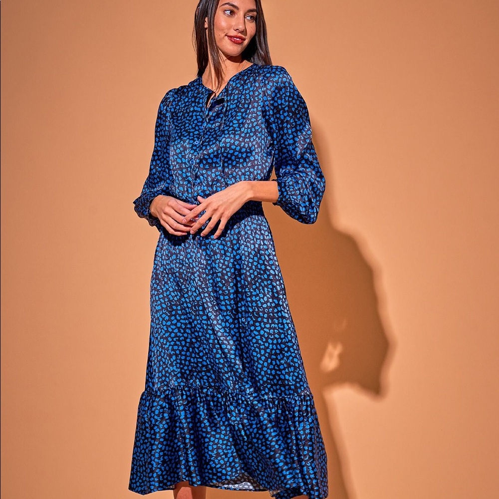 NWT | Tucker NYC Juliette Dress